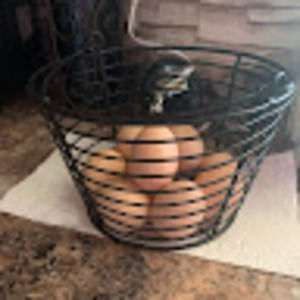 Meet your Posher, Lindsey